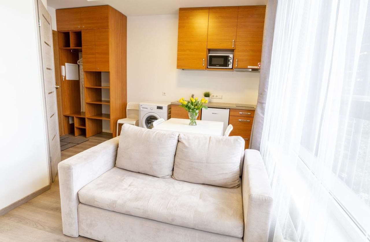 Апартаменты Sky Studio near the Vilnius Center Вильнюс-8