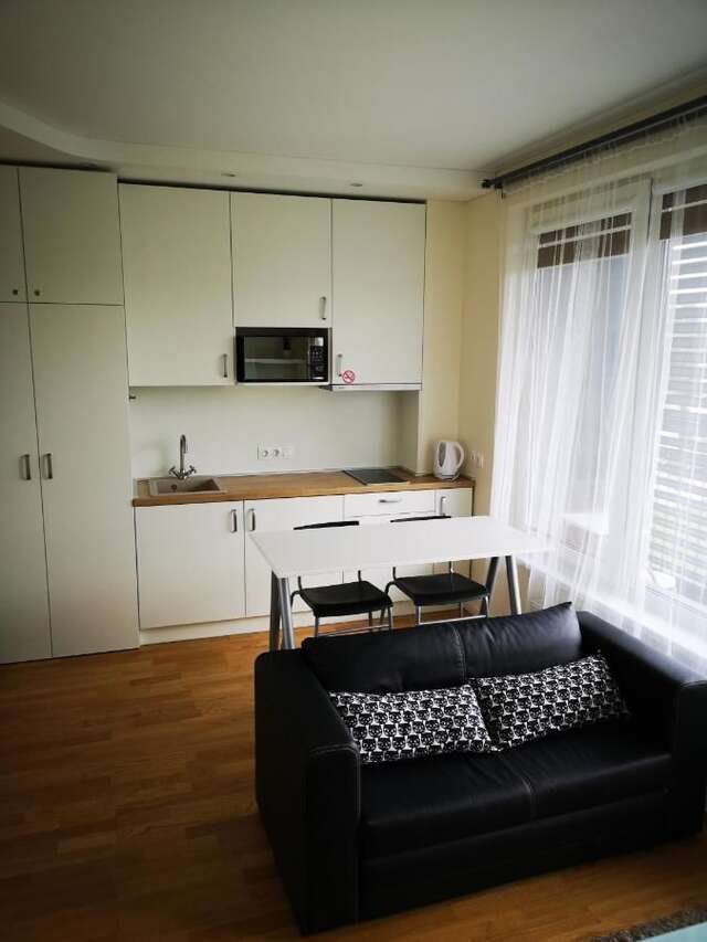 Апартаменты Sky Studio near the Vilnius Center Вильнюс-26
