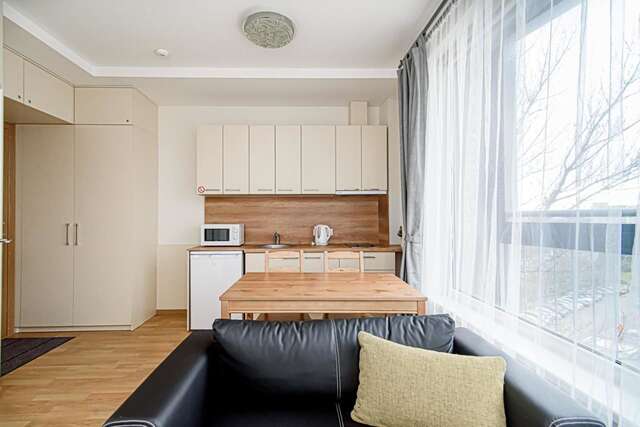 Апартаменты Sky Studio near the Vilnius Center Вильнюс-36