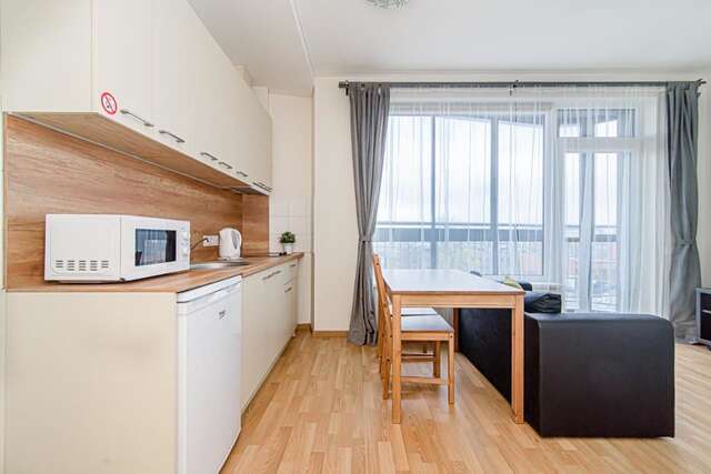 Апартаменты Sky Studio near the Vilnius Center Вильнюс-39